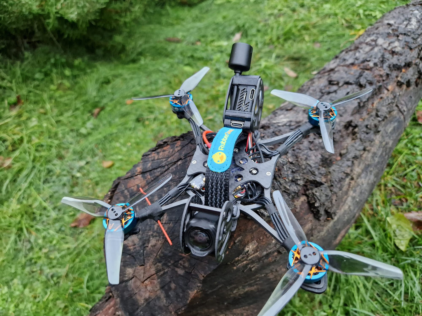 The Squirrel O3 - built and tuned
