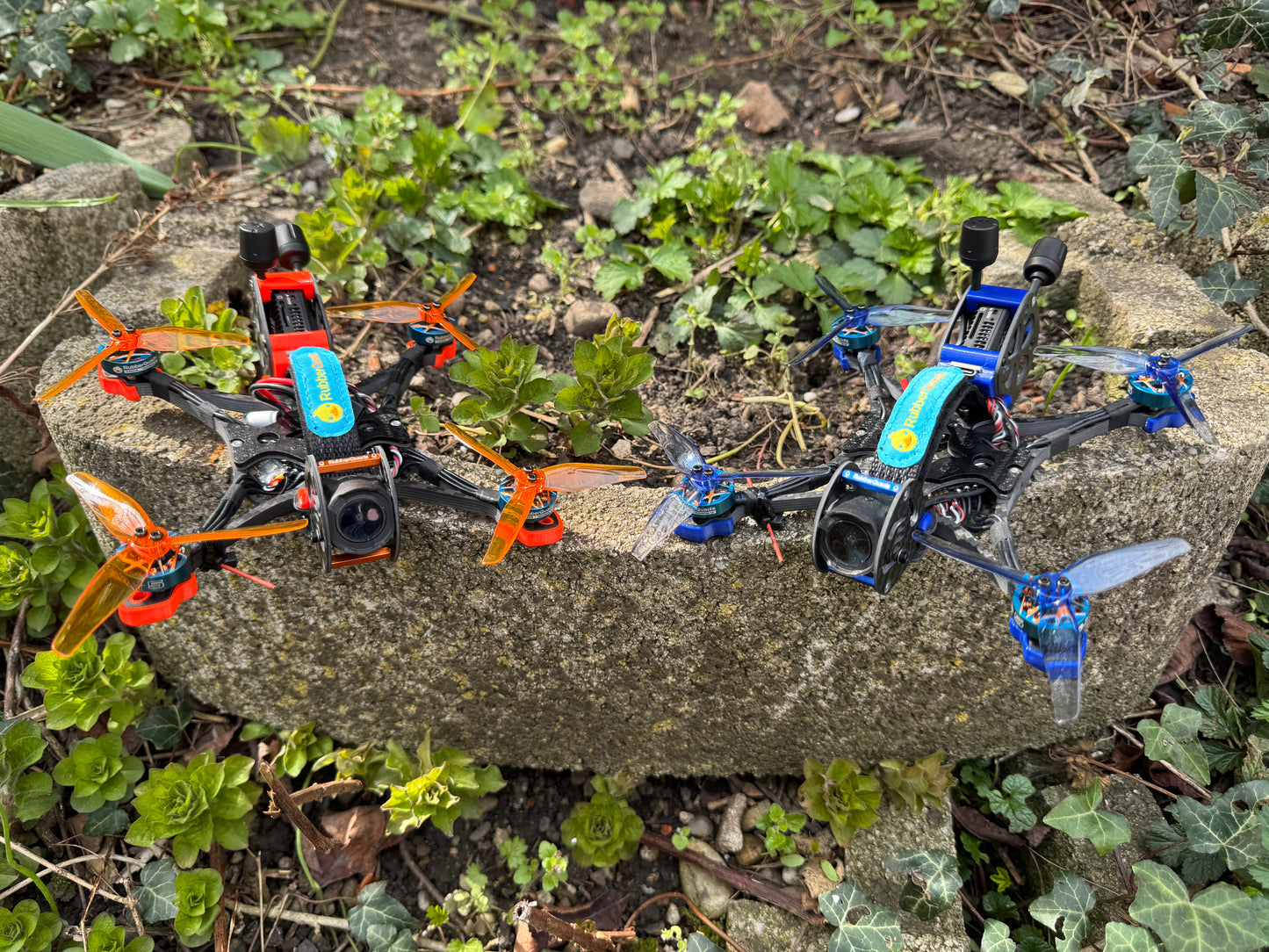 The Squirrel O3 - built and tuned