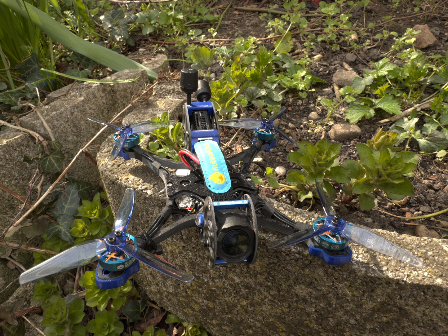 The Squirrel O3 - built and tuned